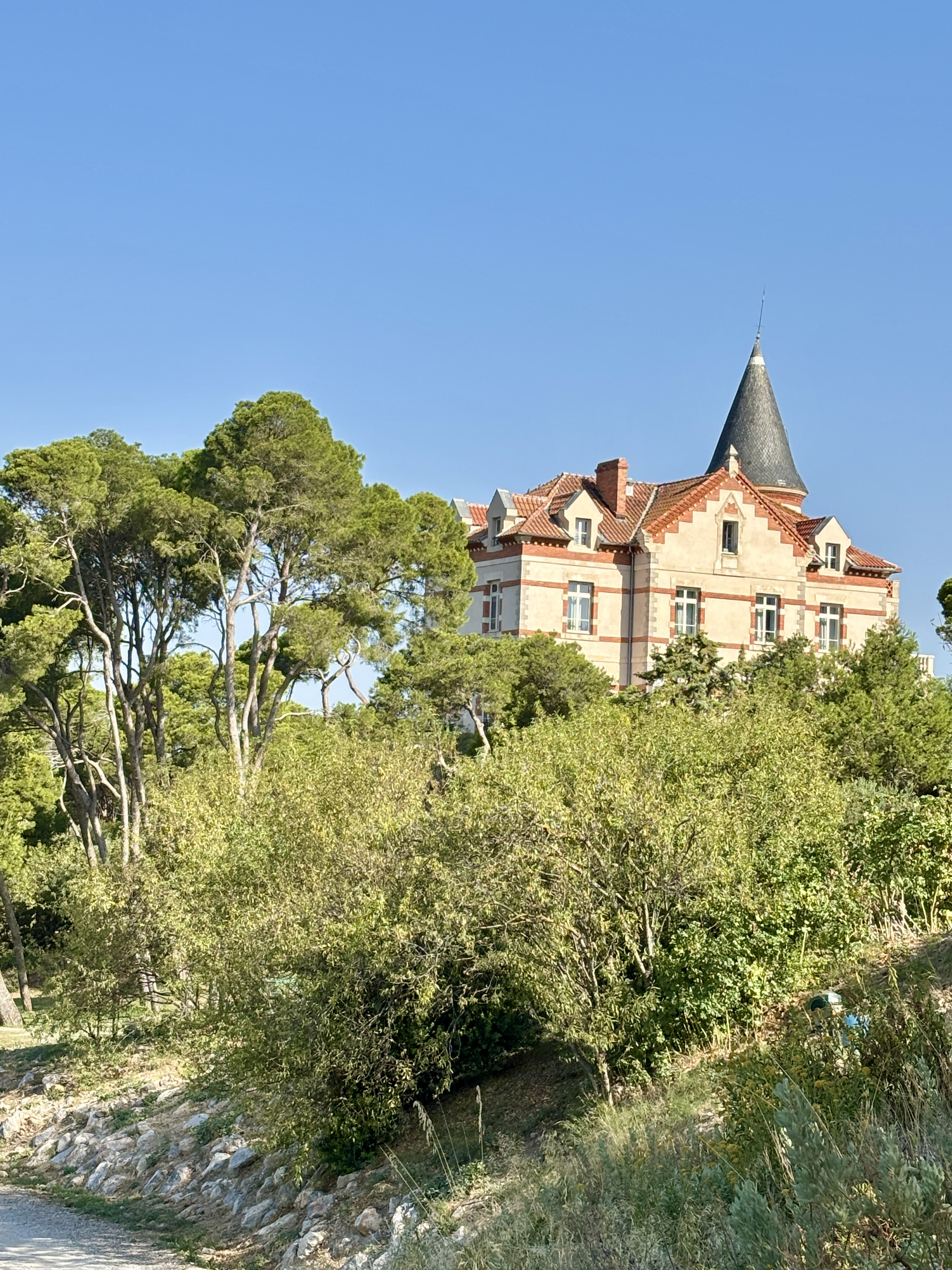 Image: https://us.v-cdn.net/5017260/uploads/editor/j8/gbiukukmhy12.jpeg