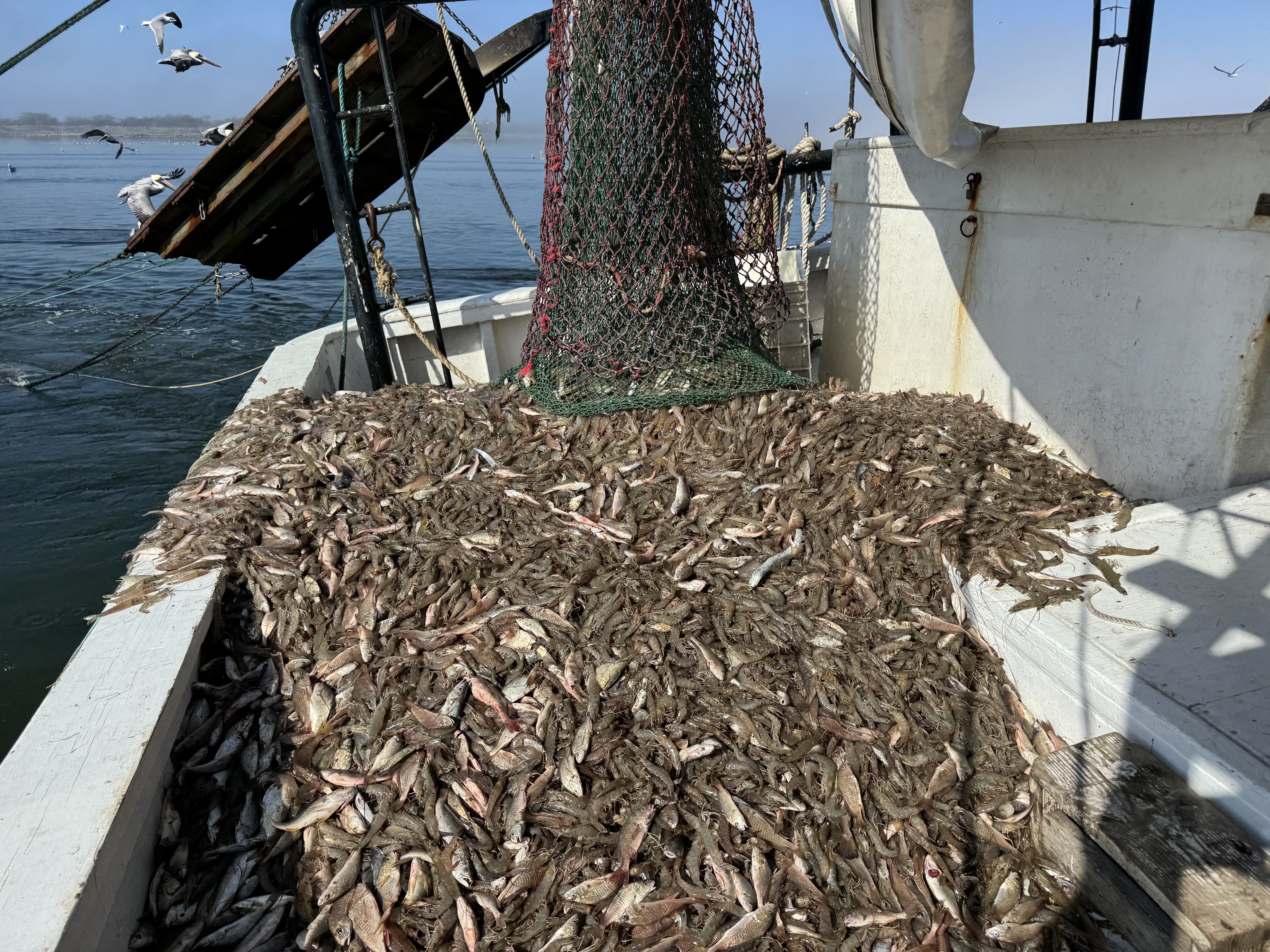 Image: https://us.v-cdn.net/5017260/uploads/editor/jp/x2l6x5ires3q.jpeg