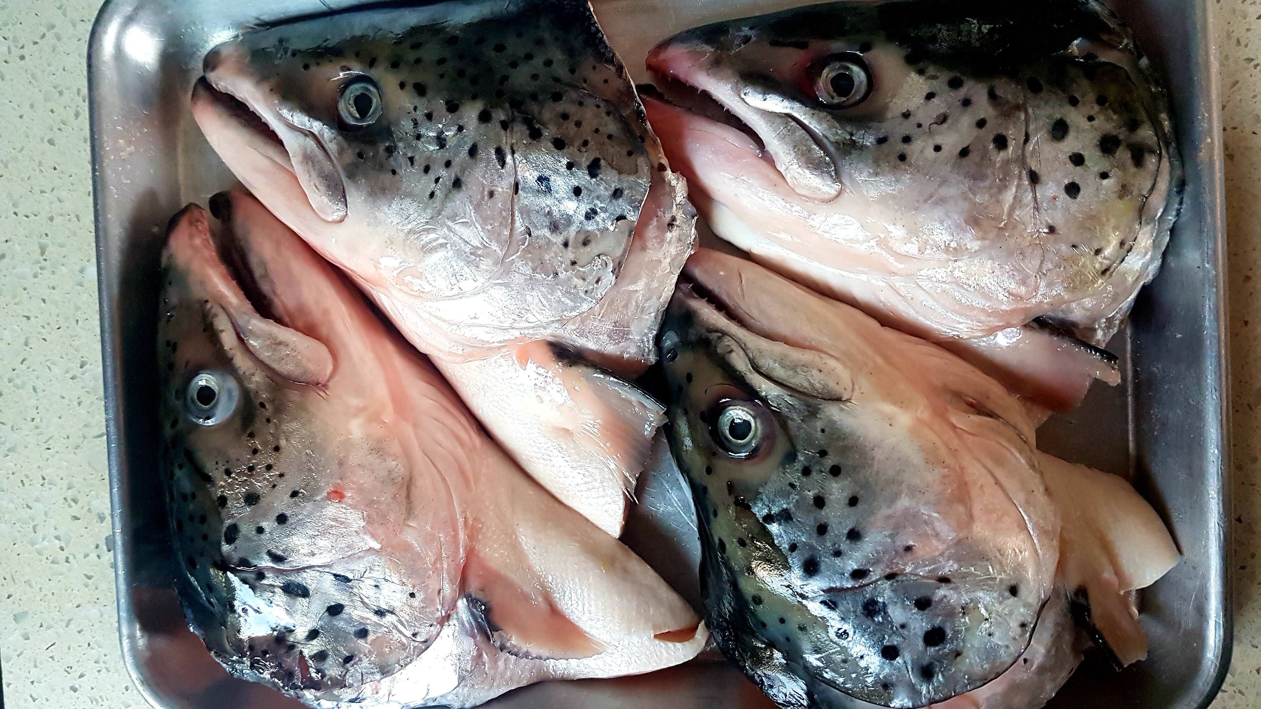 Image: https://us.v-cdn.net/5017260/uploads/editor/jv/0excdeo65x6s.jpg