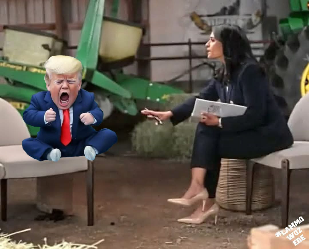 Image: https://us.v-cdn.net/5017260/uploads/editor/jz/0bwxsnpl8dbn.png