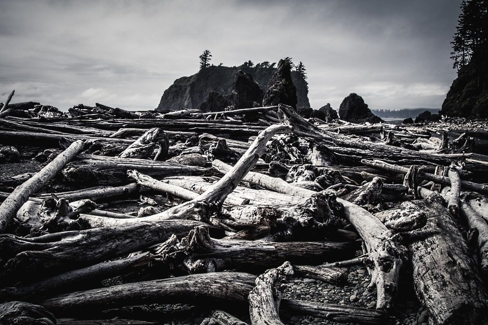 Image: https://us.v-cdn.net/5017260/uploads/editor/jz/uegwo9sh7nd8.jpg