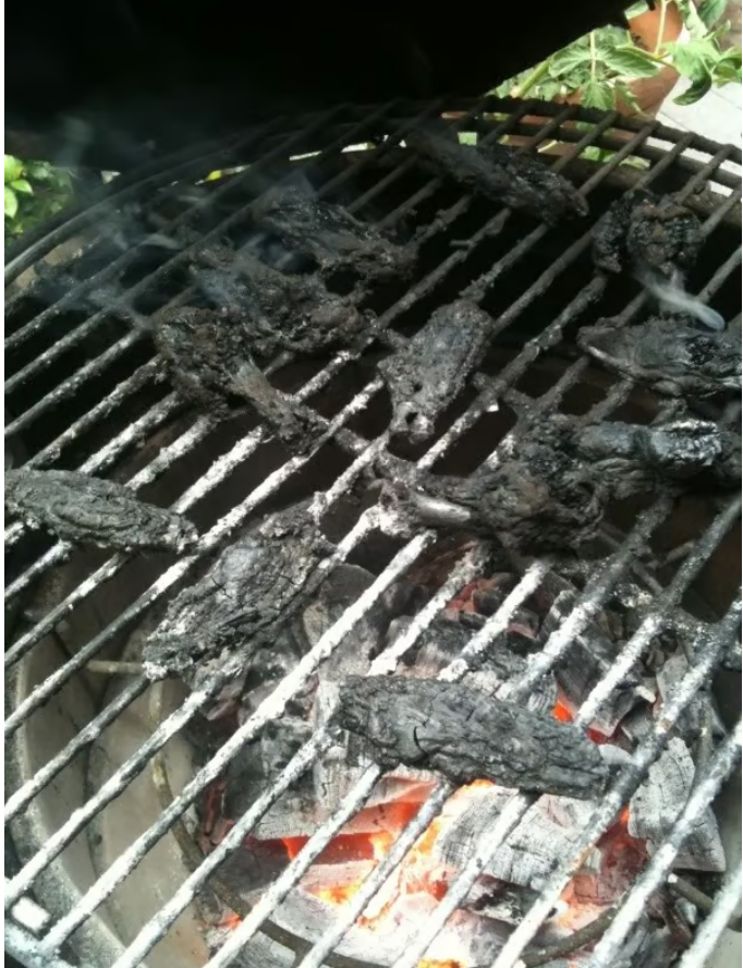 Image: https://us.v-cdn.net/5017260/uploads/editor/k2/wfr2lap7ipkd.png