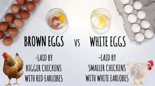 Image: https://us.v-cdn.net/5017260/uploads/editor/k4/5hxynmceu1rj.jpg