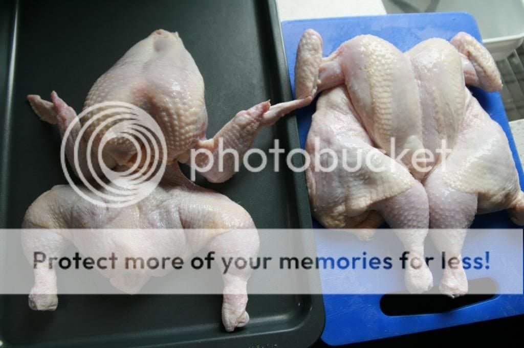 Image: https://us.v-cdn.net/5017260/uploads/editor/l6/gwzbnjsbxien.jpg