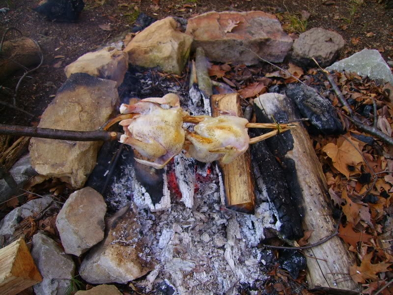 Image: https://us.v-cdn.net/5017260/uploads/editor/lg/0utyer5jodkf.jpg