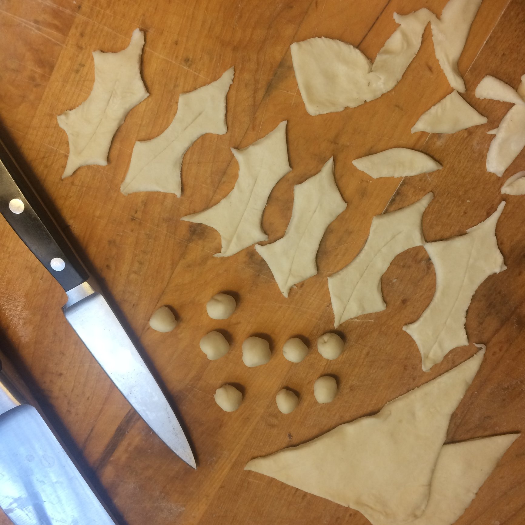 Image: https://us.v-cdn.net/5017260/uploads/editor/lg/z9m5kz515lry.jpg