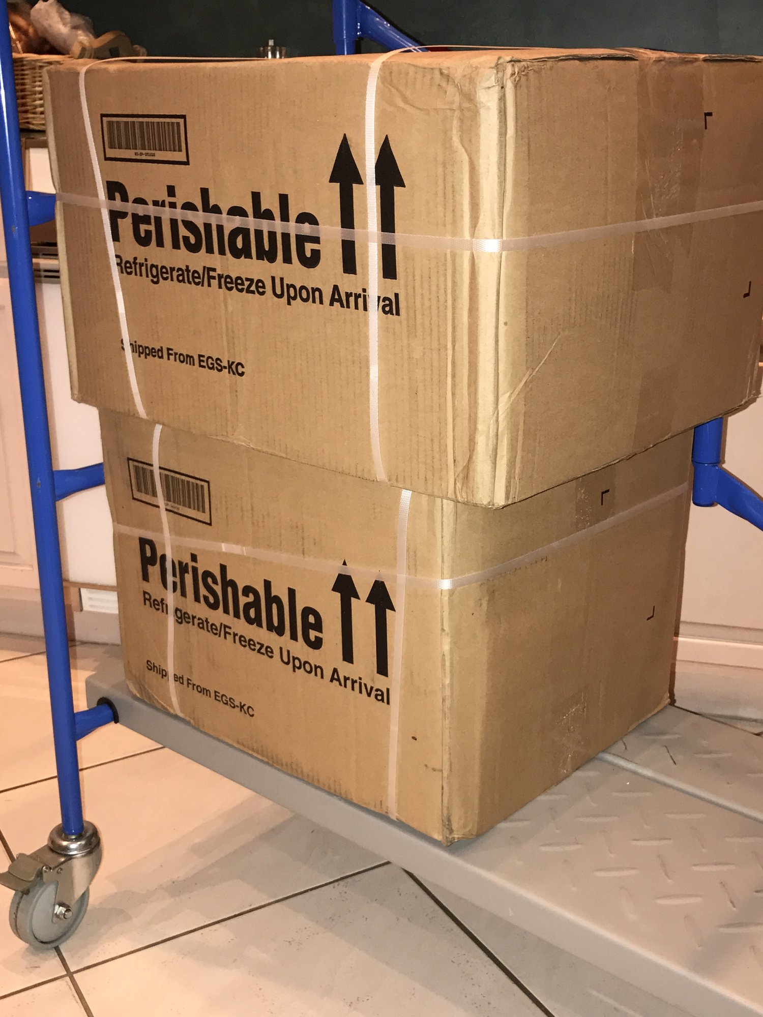 Image: https://us.v-cdn.net/5017260/uploads/editor/mc/exvdav2ca4zv.jpg