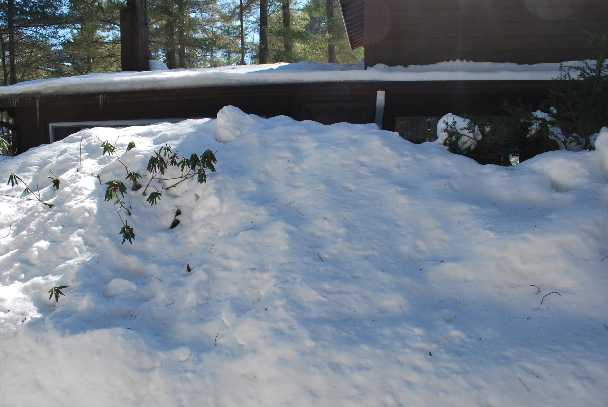 Image: https://us.v-cdn.net/5017260/uploads/editor/mo/bny0hmby2axk.jpg