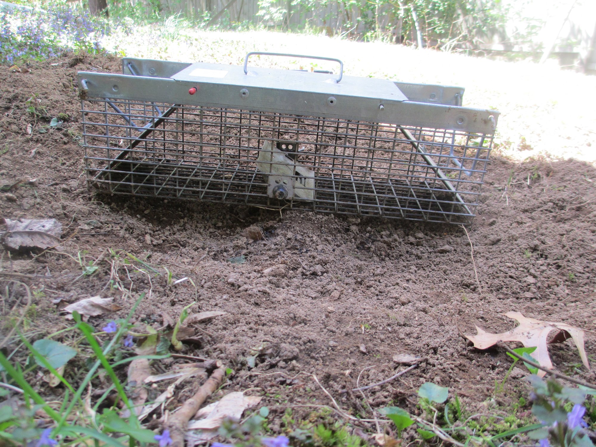 Image: https://us.v-cdn.net/5017260/uploads/editor/n0/7r8dypw688e0.jpg