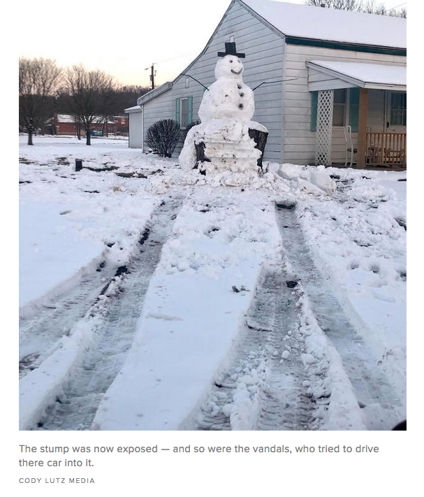 Image: https://us.v-cdn.net/5017260/uploads/editor/n3/4o8afxt7m13u.png