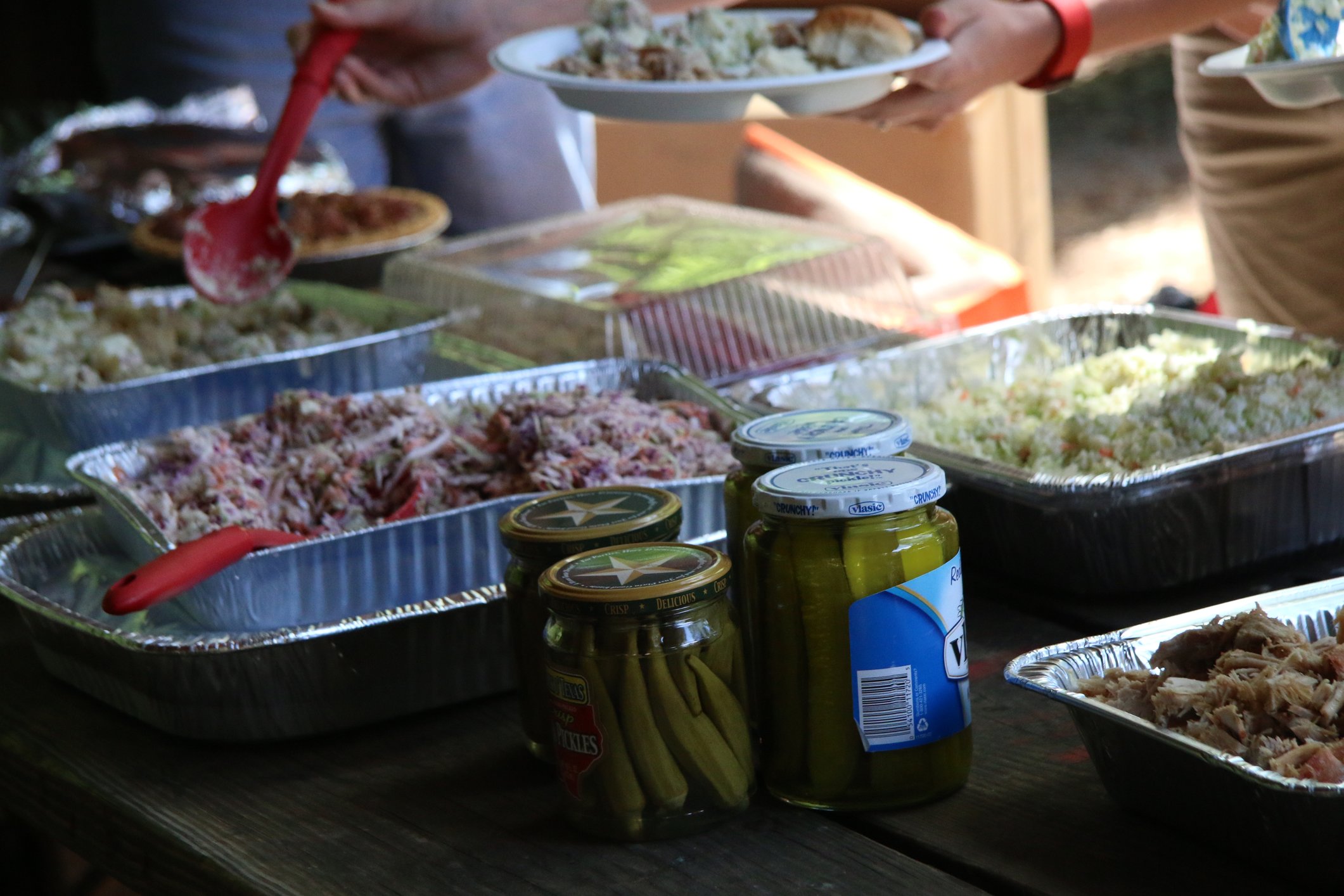 Image: https://us.v-cdn.net/5017260/uploads/editor/n6/eva6oudhawwv.jpg