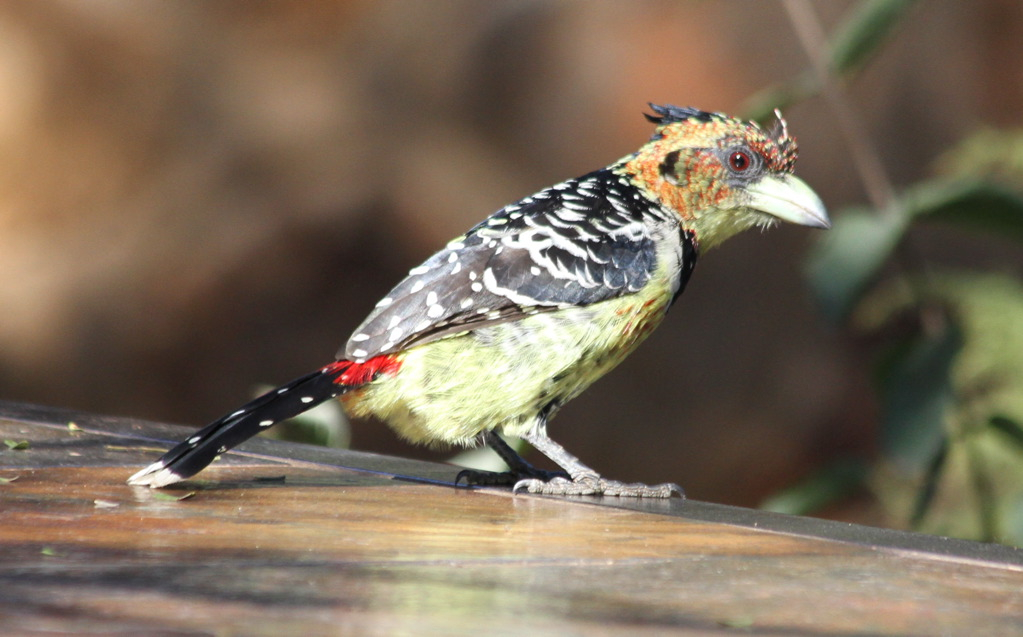 Image: https://us.v-cdn.net/5017260/uploads/editor/nd/40qp0jkaeipd.jpg