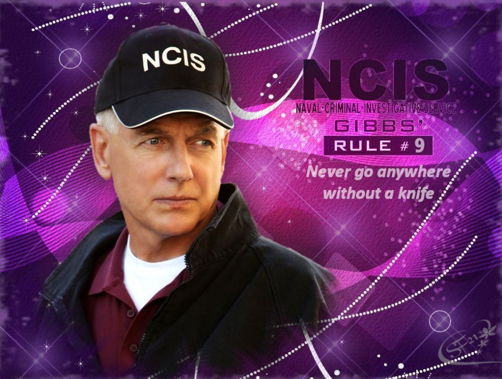 Image: https://us.v-cdn.net/5017260/uploads/editor/nf/g2t0kvu5p0lt.jpg