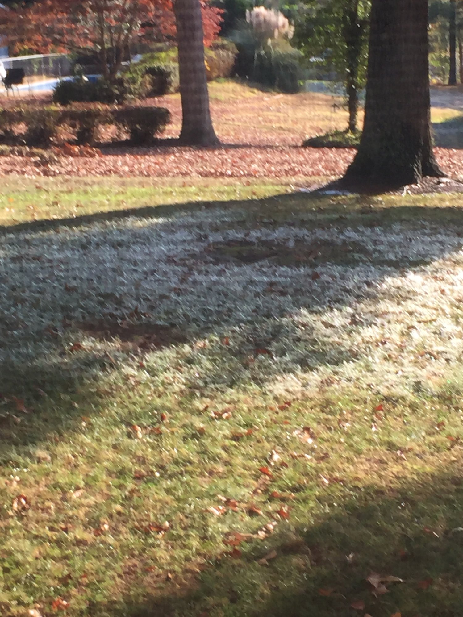 Image: https://us.v-cdn.net/5017260/uploads/editor/nl/a4tvuwdtaw9i.jpg