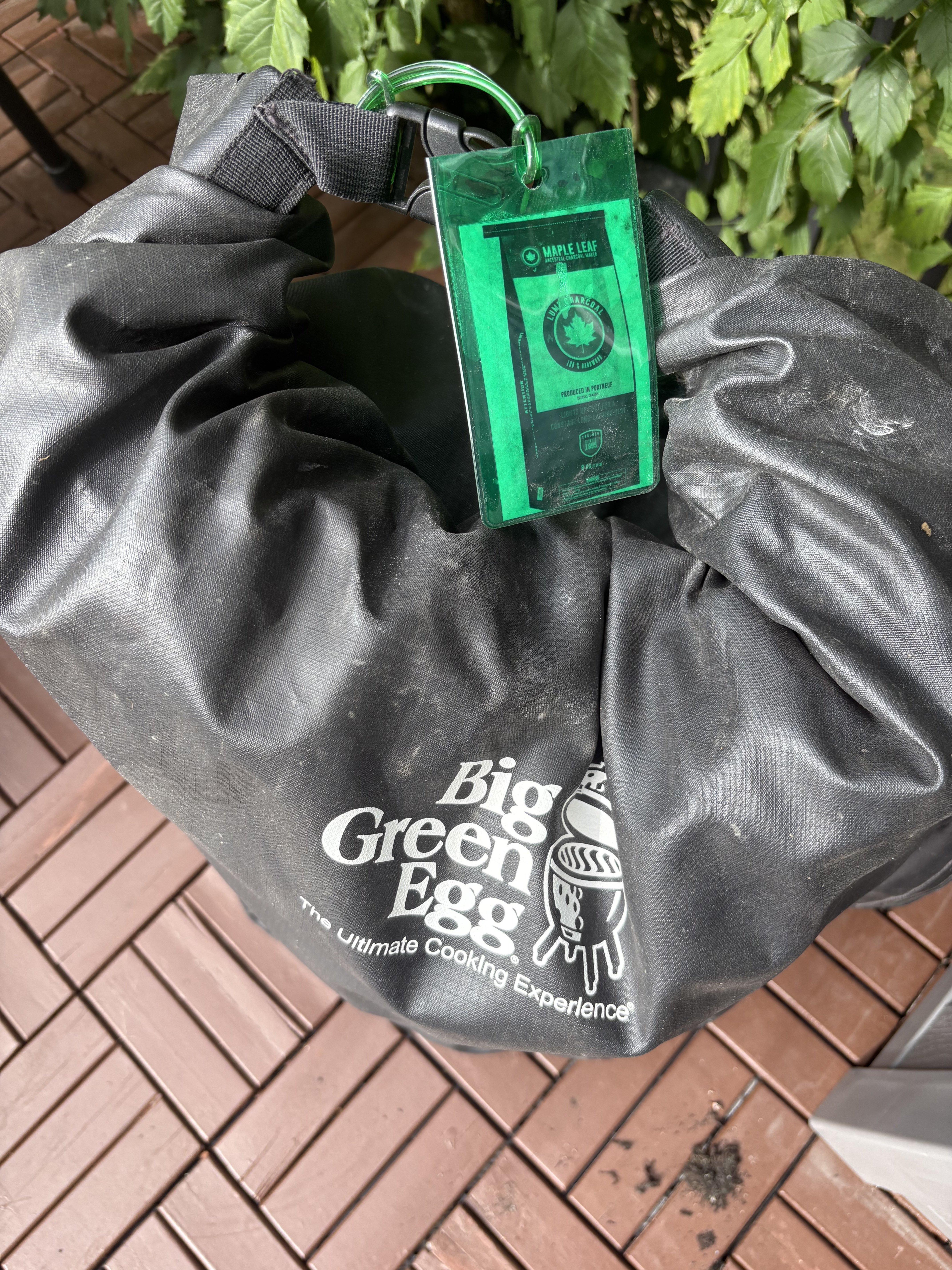 Image: https://us.v-cdn.net/5017260/uploads/editor/nm/7h1dijmu54o8.jpg