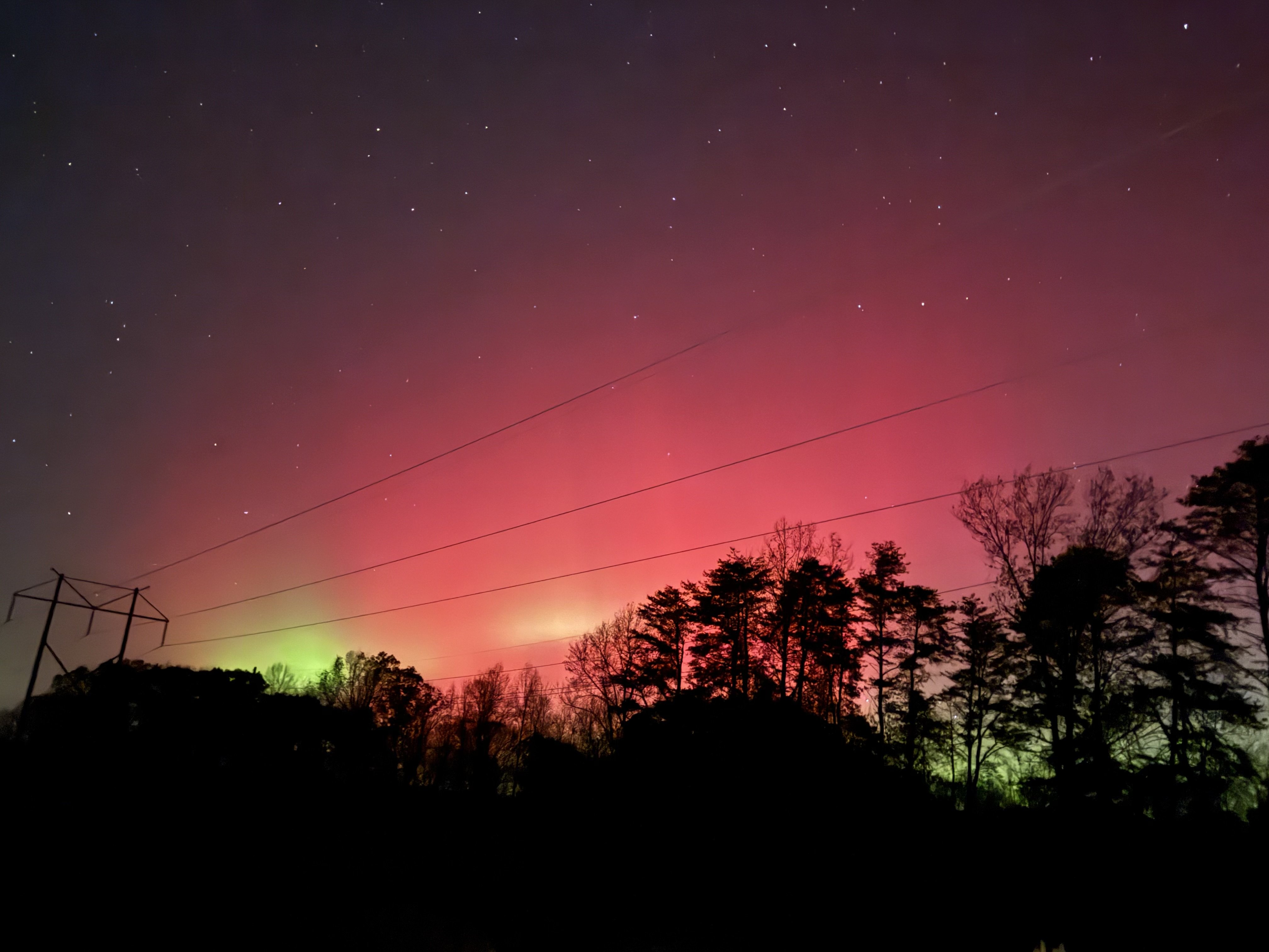 Image: https://us.v-cdn.net/5017260/uploads/editor/nq/yp0fo60bfs4p.jpeg