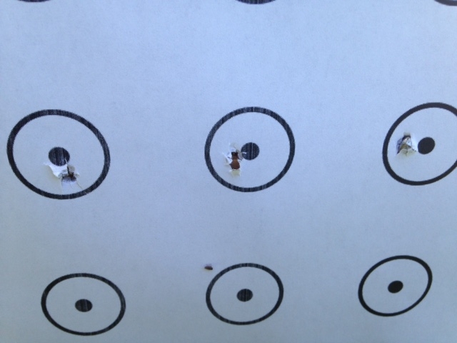 Image: https://us.v-cdn.net/5017260/uploads/editor/ns/tm54fpdshzml.jpg