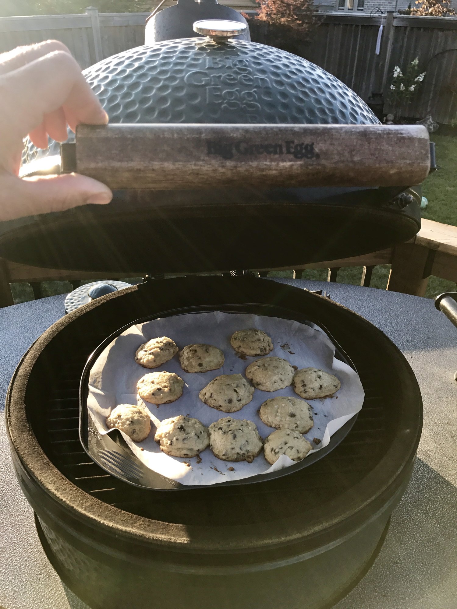 Image: https://us.v-cdn.net/5017260/uploads/editor/nx/9l9ec08vojzy.jpeg