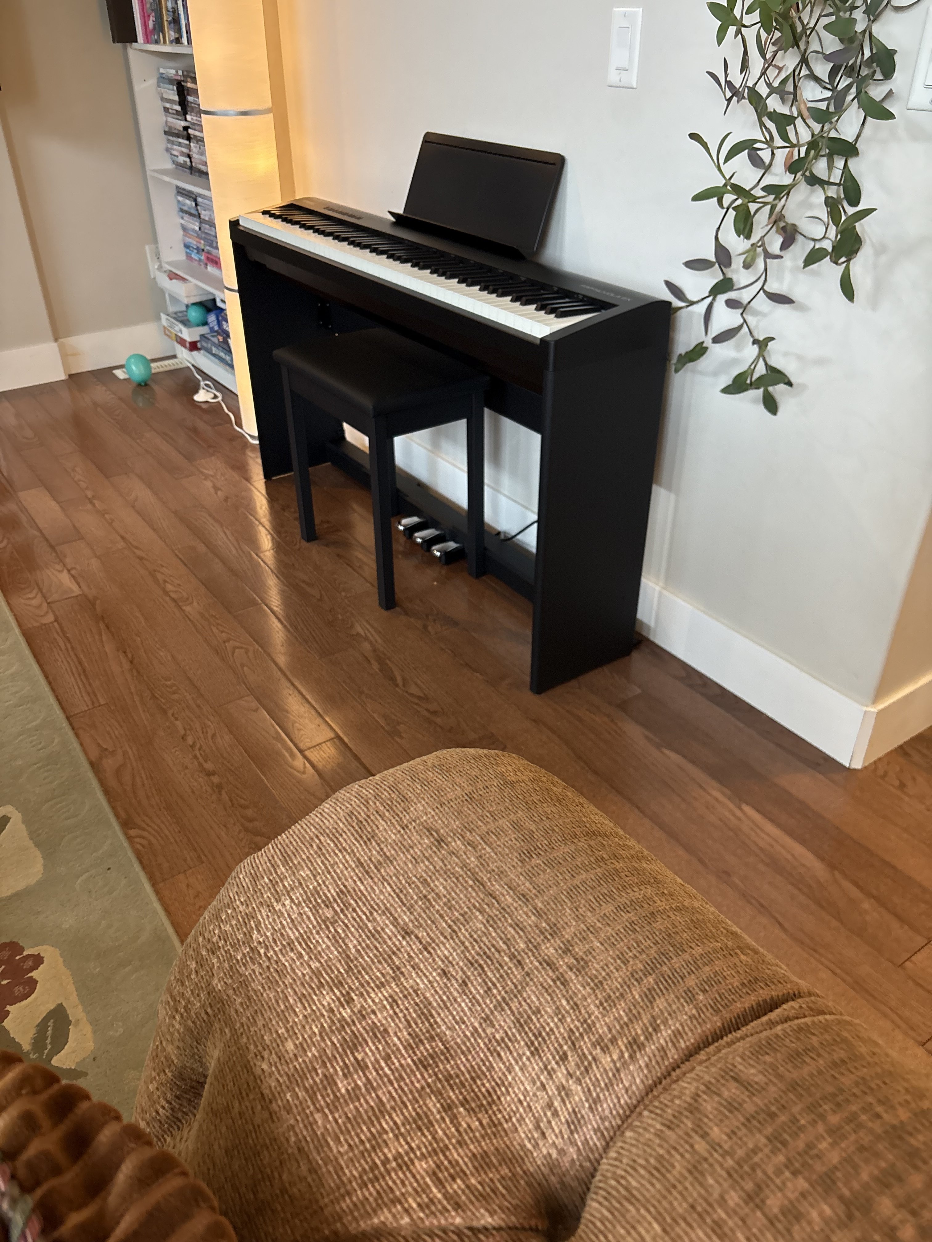 Image: https://us.v-cdn.net/5017260/uploads/editor/oj/etdmbvvhyqq9.jpg