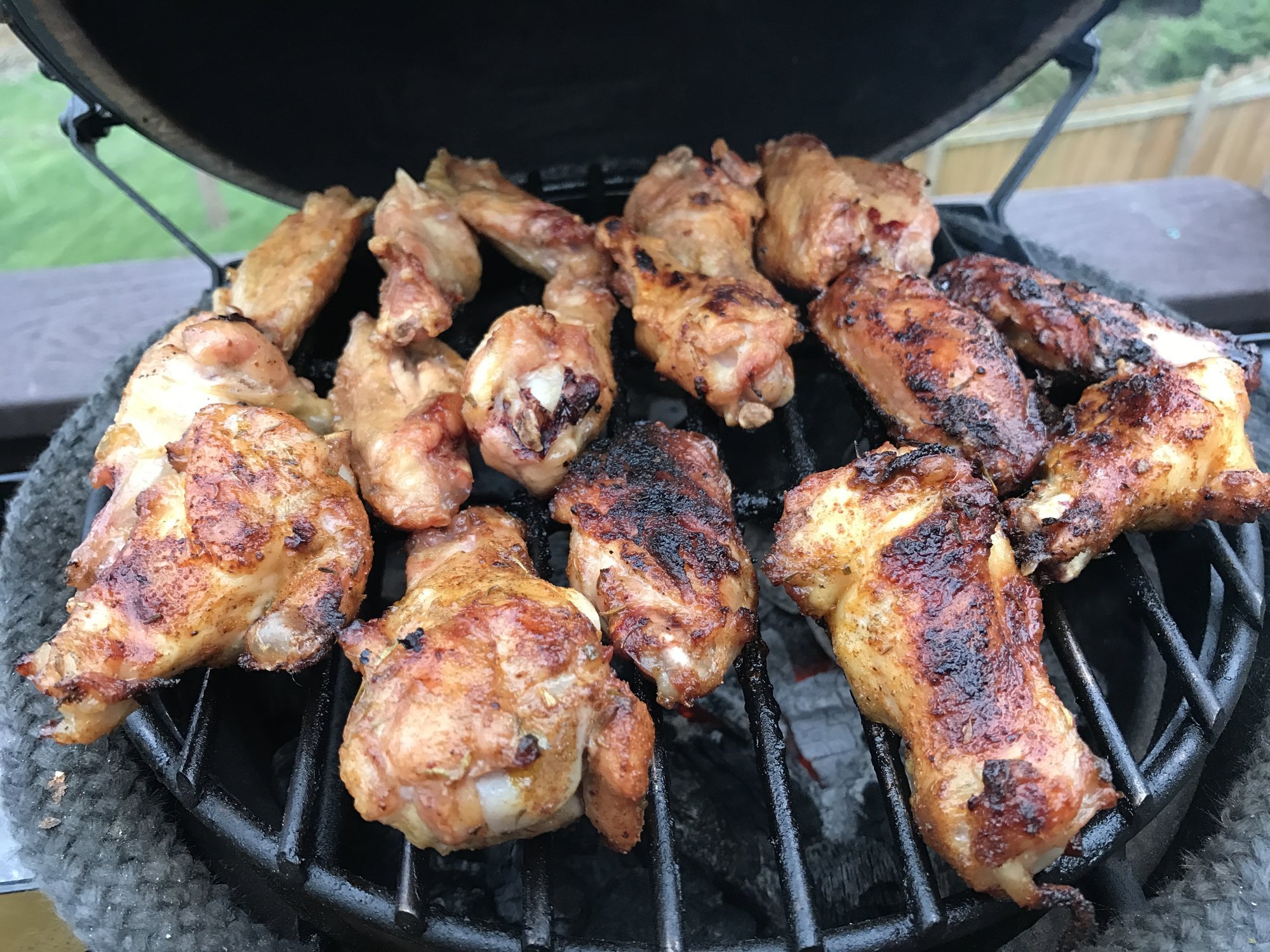 1st time wings — Big Green Egg Forum