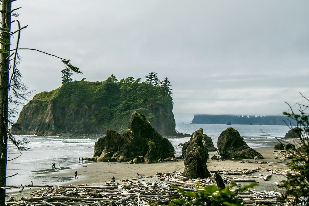 Image: https://us.v-cdn.net/5017260/uploads/editor/pf/nuoubfcejwfk.jpg