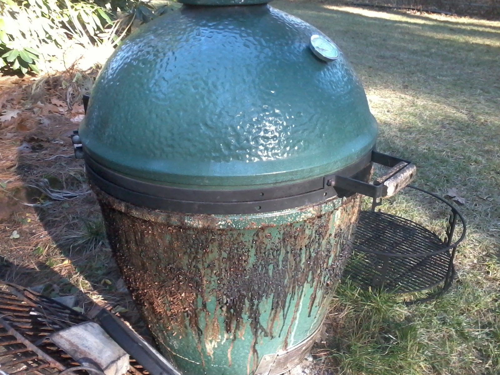 Image: https://us.v-cdn.net/5017260/uploads/editor/pm/reo6icapyd15.jpg