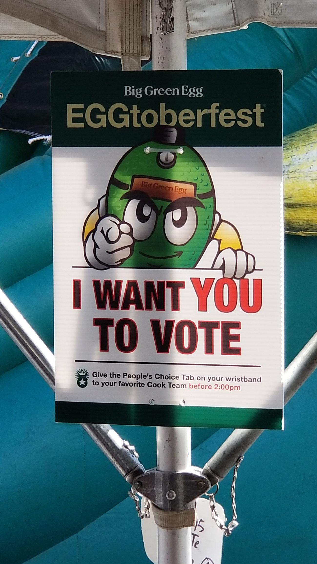 Image: https://us.v-cdn.net/5017260/uploads/editor/pr/rl31rq3942to.jpg