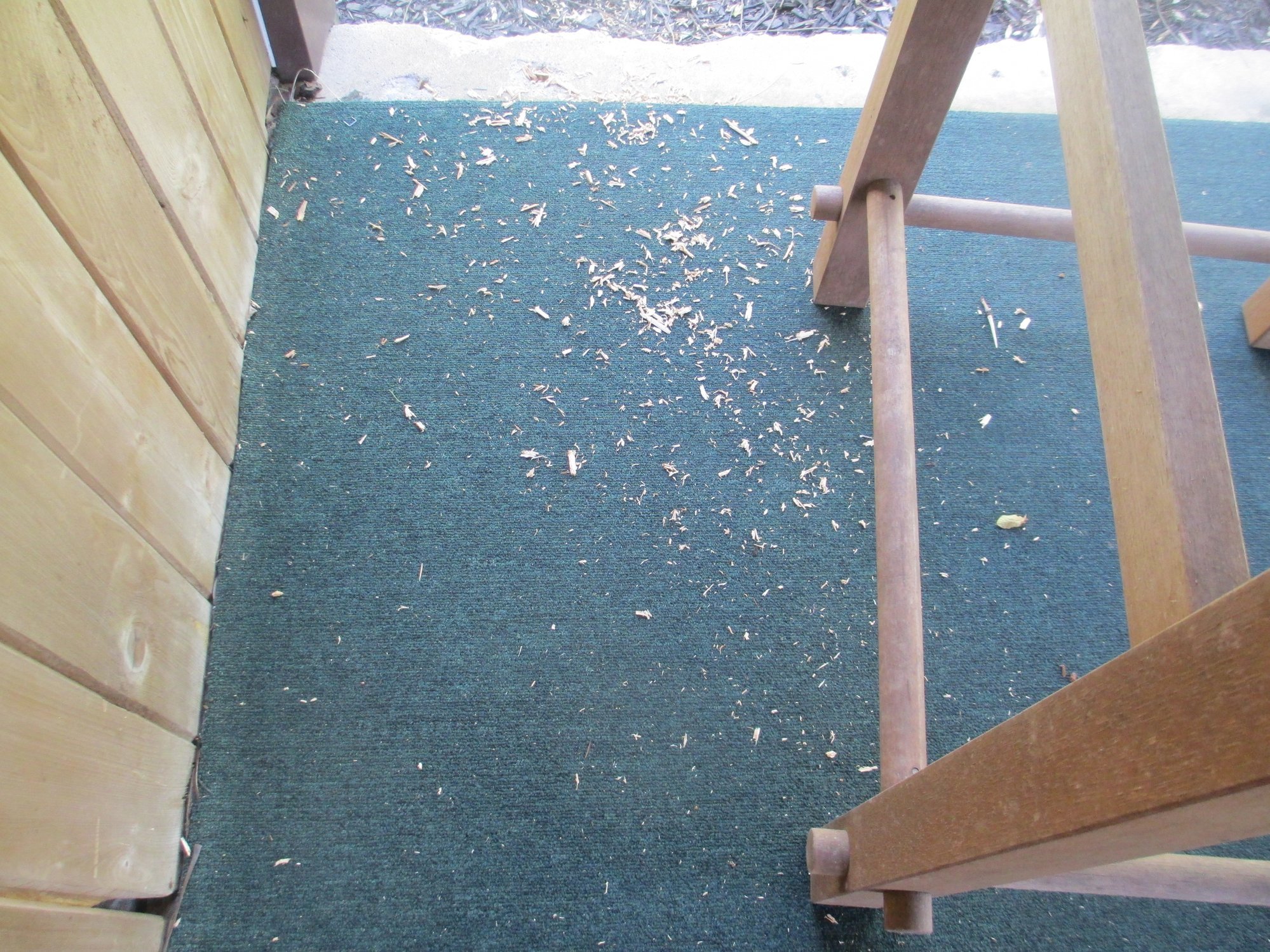 Image: https://us.v-cdn.net/5017260/uploads/editor/q1/0iyze5glpc7t.jpg