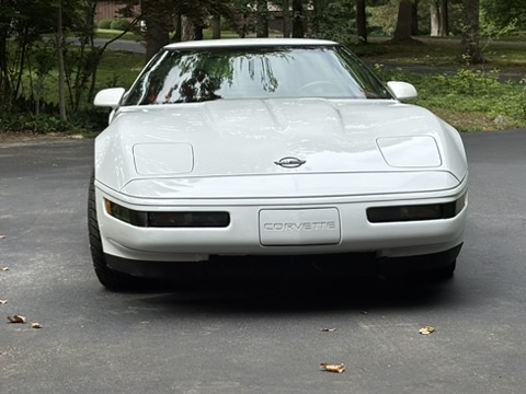 Image: https://us.v-cdn.net/5017260/uploads/editor/q6/nro71nzos2pt.jpeg