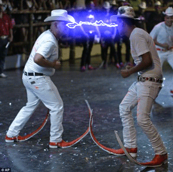 Image: https://us.v-cdn.net/5017260/uploads/editor/q8/0x0xpzjvhgfo.gif