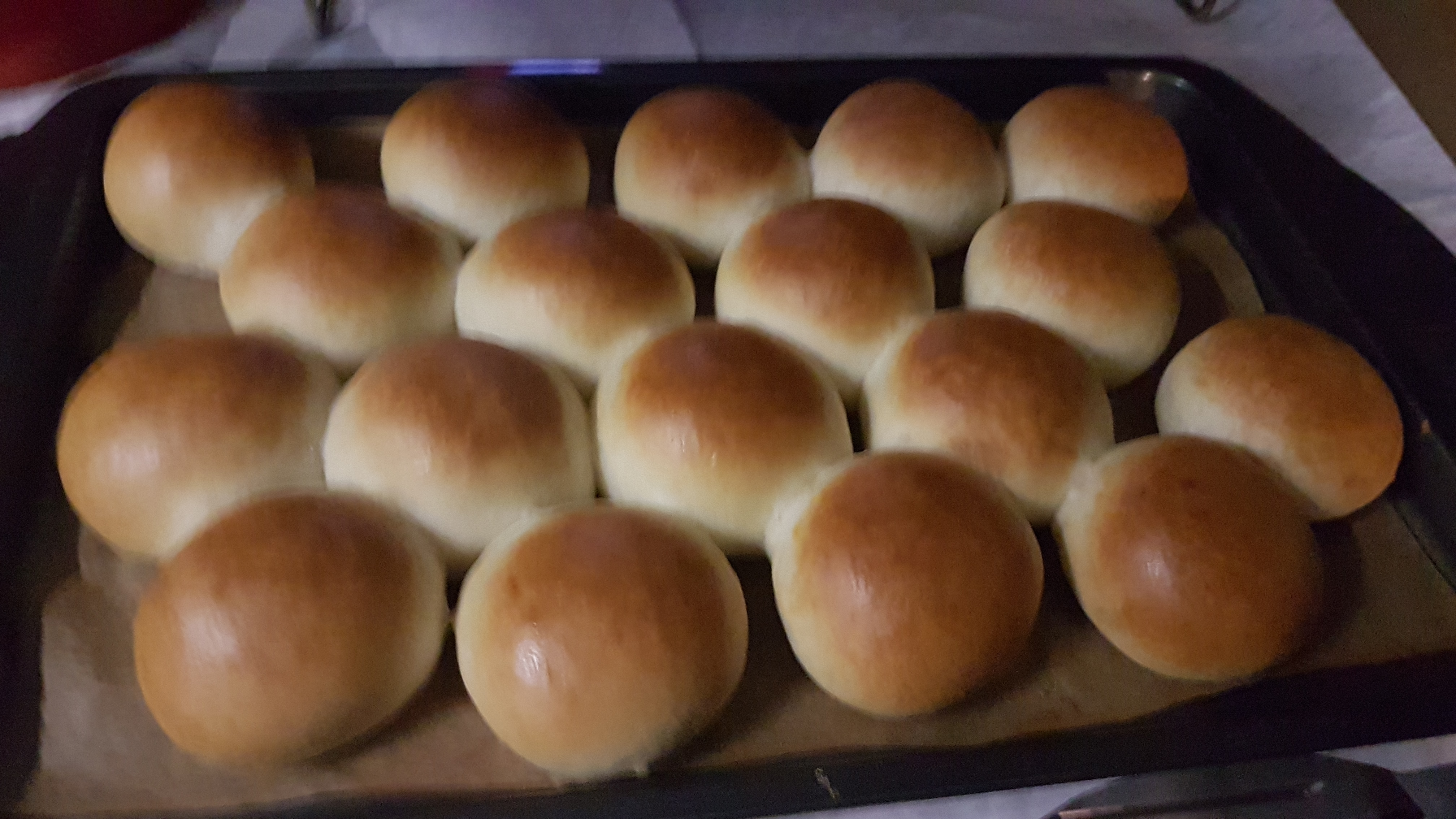 Image: https://us.v-cdn.net/5017260/uploads/editor/qc/a0sg3r5k7222.jpg