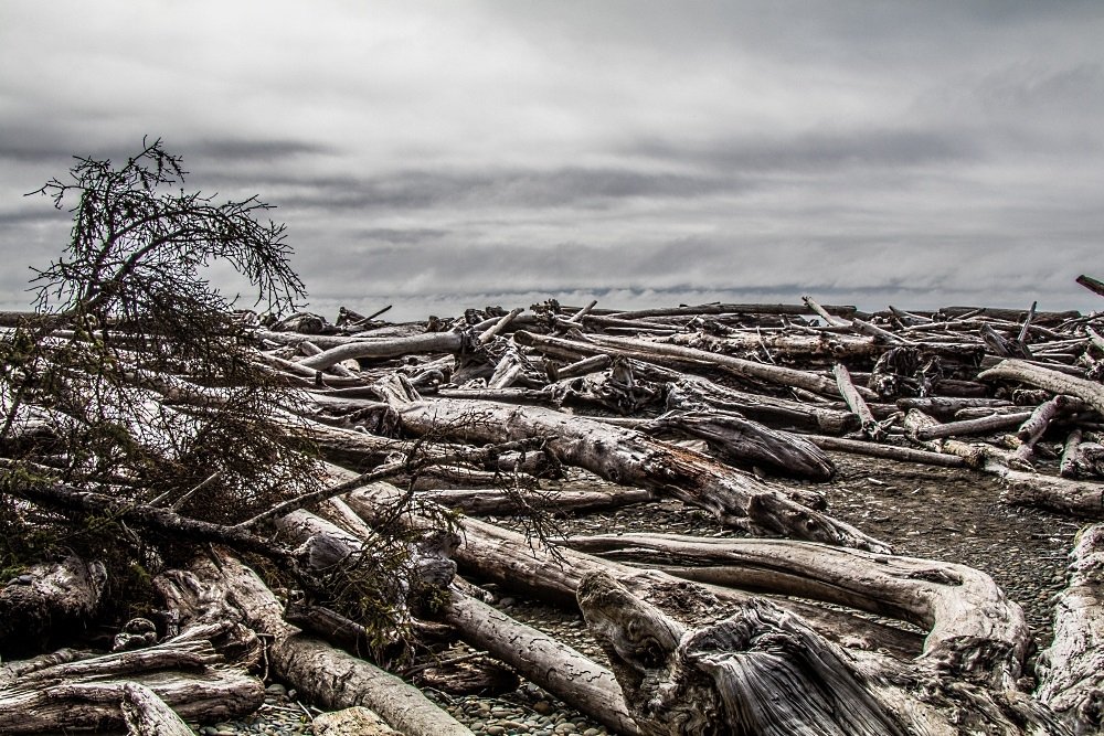 Image: https://us.v-cdn.net/5017260/uploads/editor/ql/v1anqsdsamjz.jpg