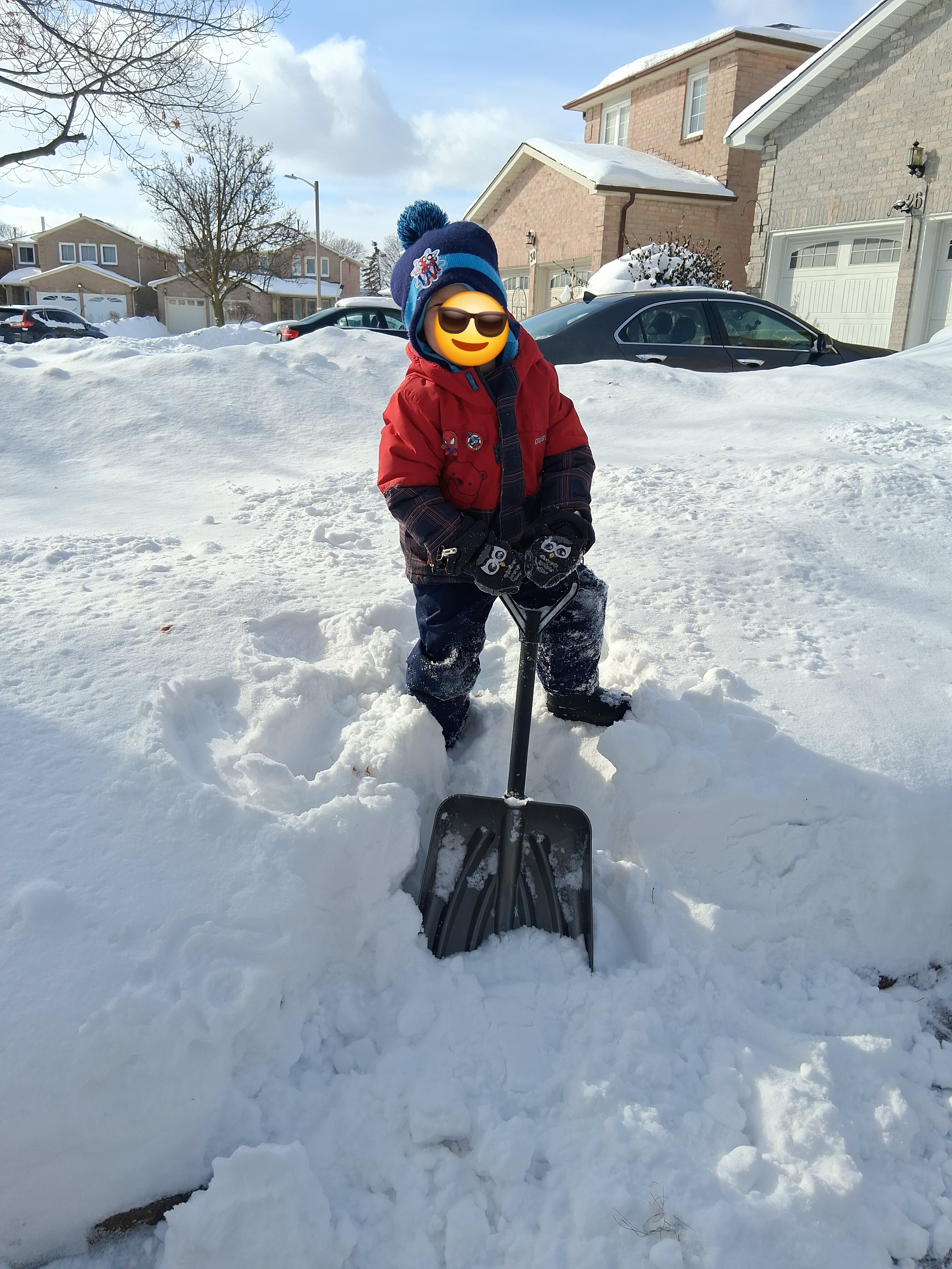 Image: https://us.v-cdn.net/5017260/uploads/editor/qx/lzrxtsyqmcrn.jpg