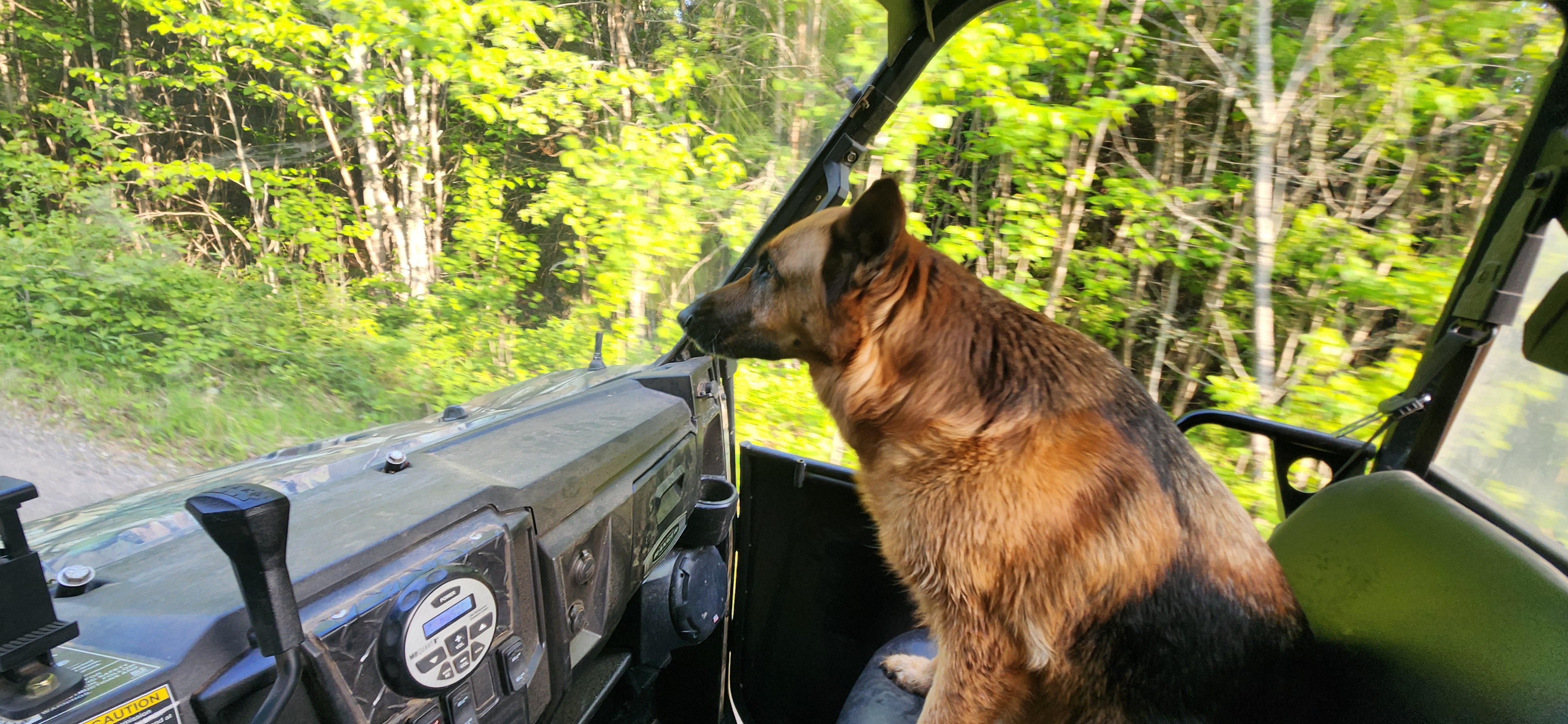 Image: https://us.v-cdn.net/5017260/uploads/editor/rn/0ke1nc4fpmre.jpg