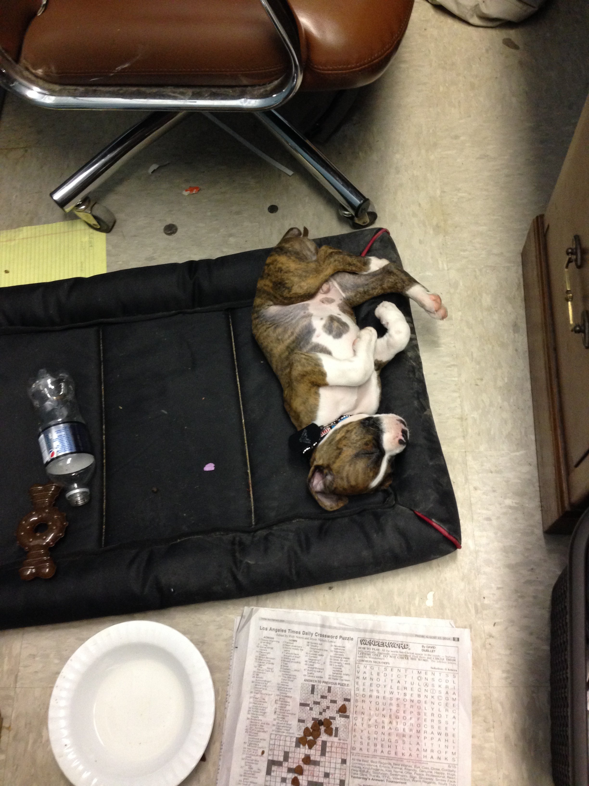 Image: https://us.v-cdn.net/5017260/uploads/editor/s2/8iunyxyue4ur.jpeg