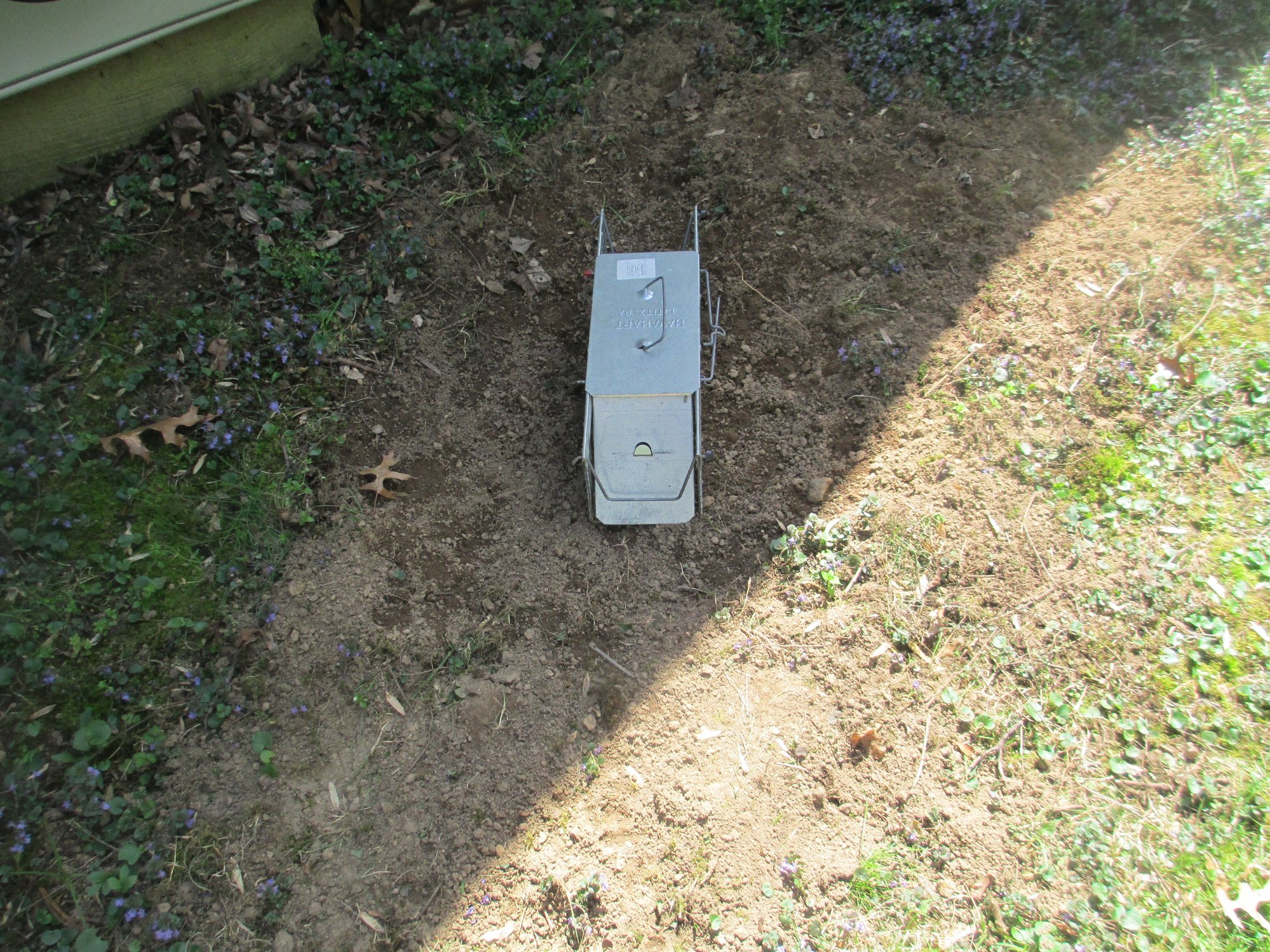 Image: https://us.v-cdn.net/5017260/uploads/editor/s3/n2rjzgqujol6.jpg