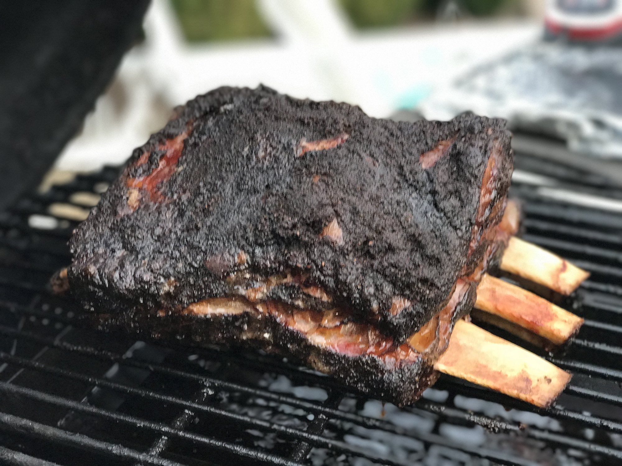 Plate ribs (pics) — Big Green Egg Forum