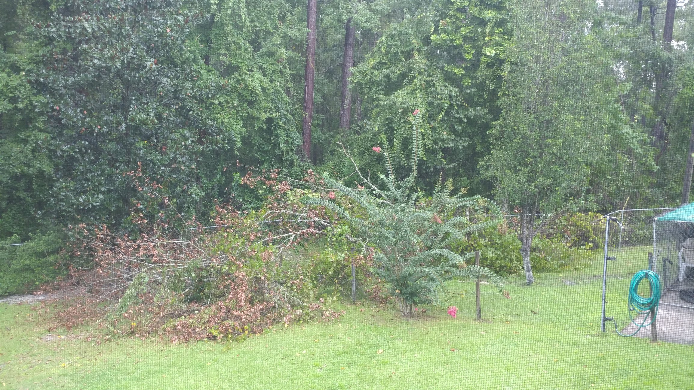 Image: https://us.v-cdn.net/5017260/uploads/editor/sx/42grul8zkgp7.jpg