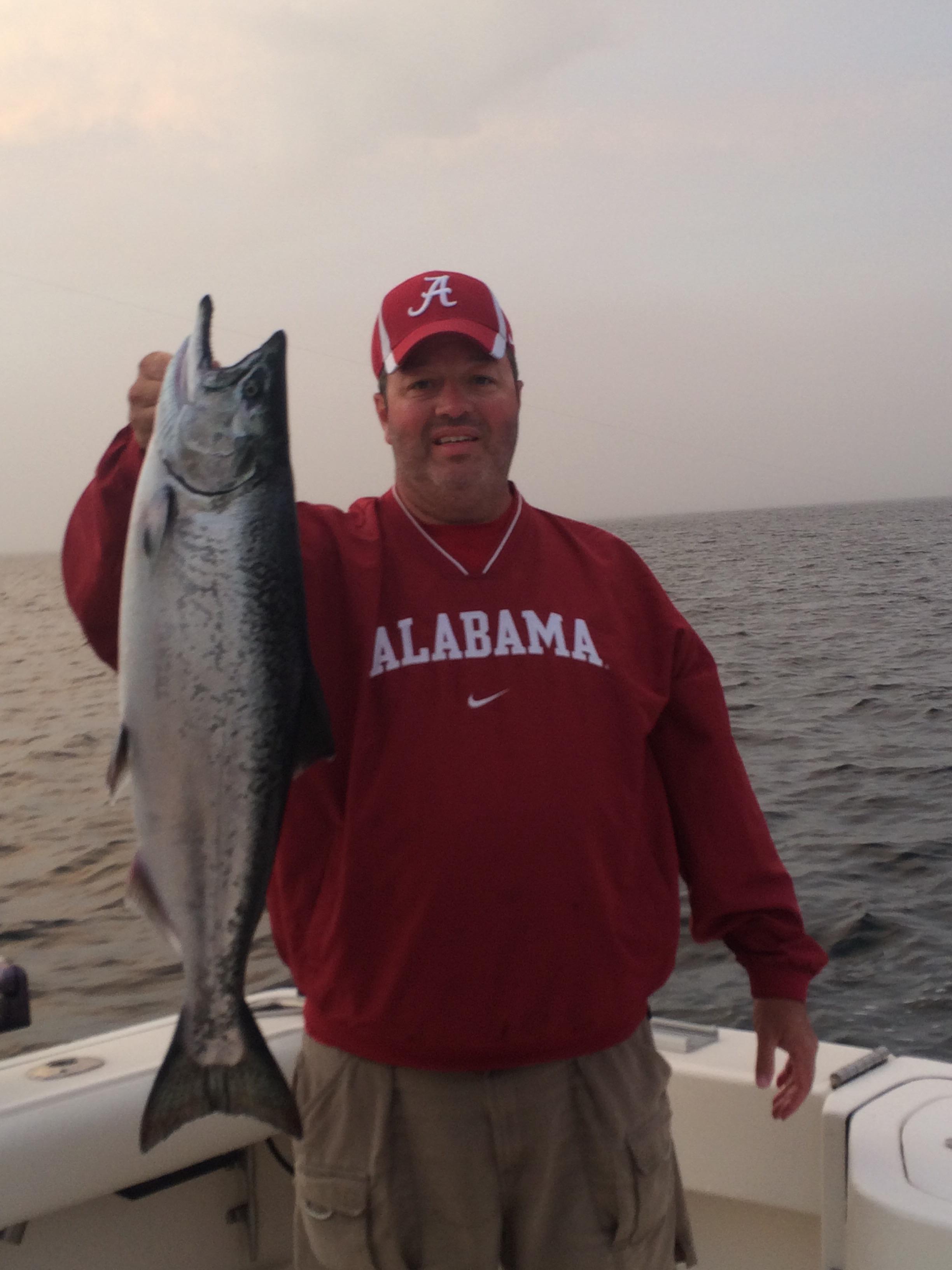 Image: https://us.v-cdn.net/5017260/uploads/editor/sx/8pqy1612wtww.jpg