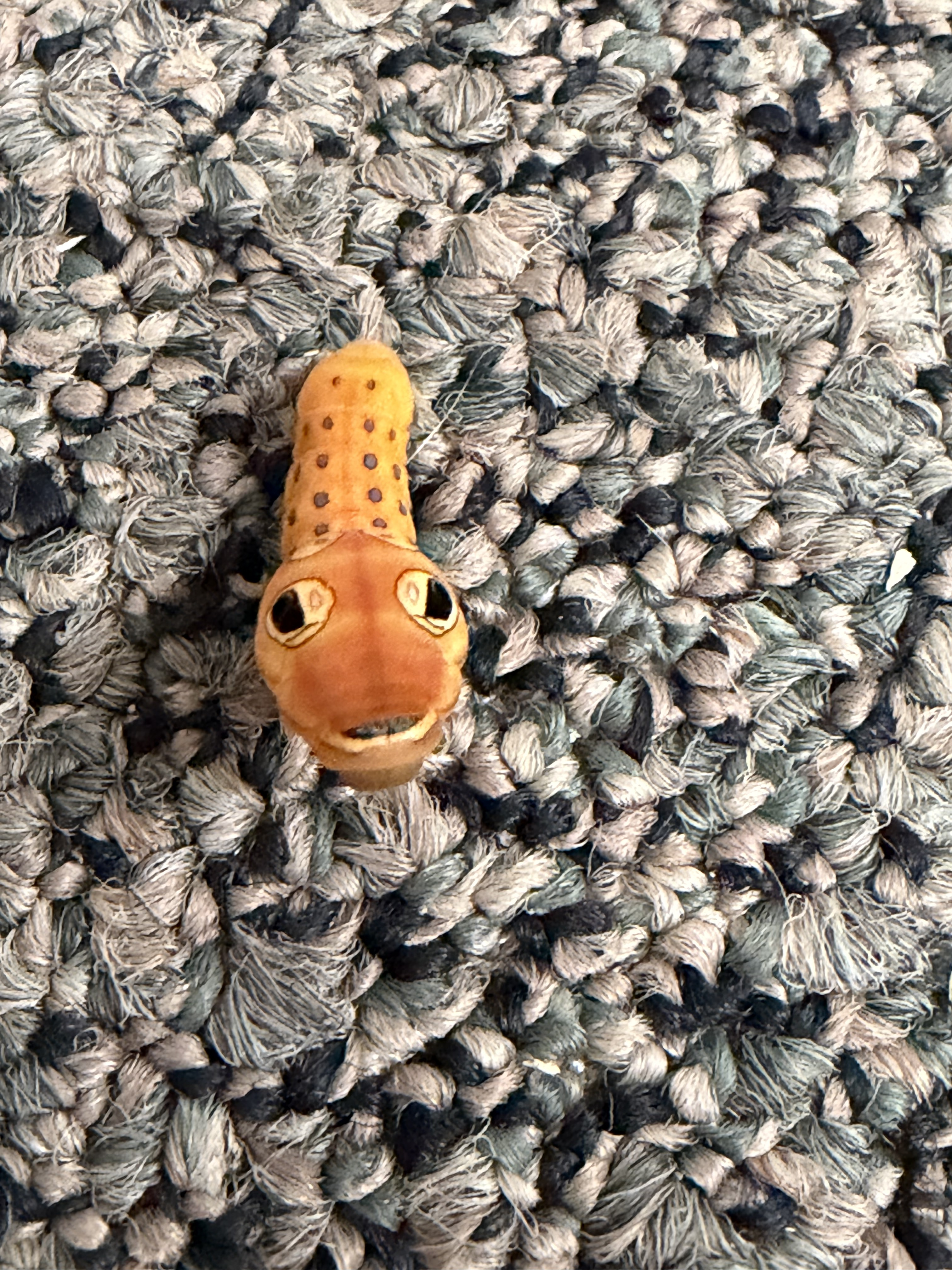 Image: https://us.v-cdn.net/5017260/uploads/editor/t1/ph9jx7pqmhmd.jpeg