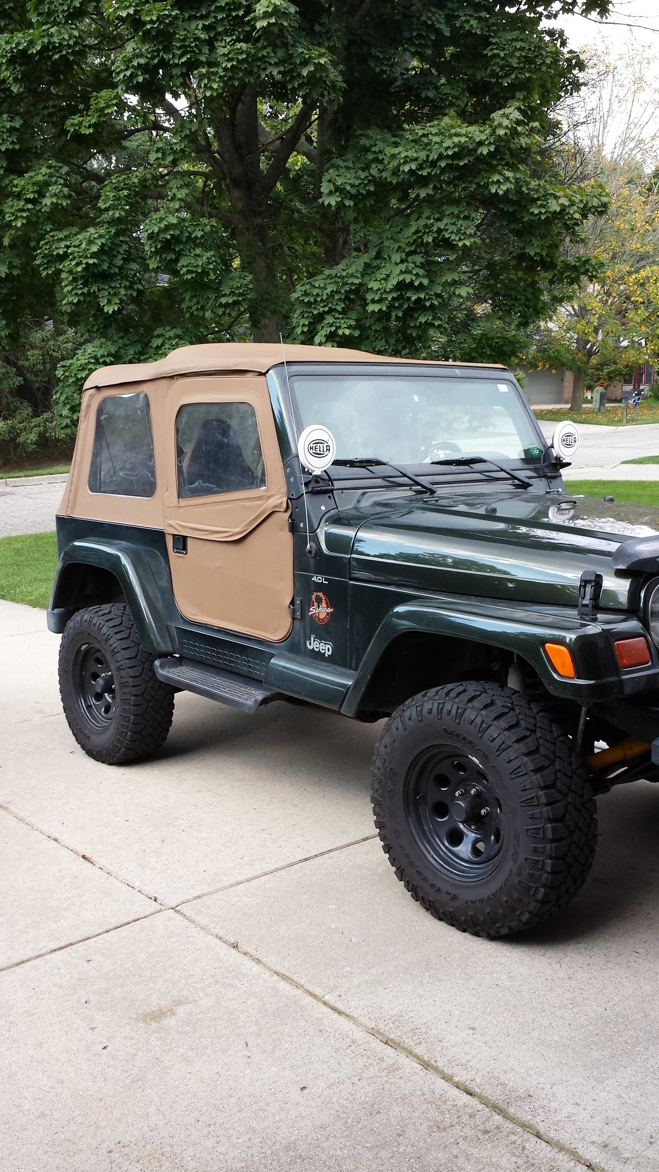 Image: https://us.v-cdn.net/5017260/uploads/editor/t5/o5dk2fs8eejf.jpg