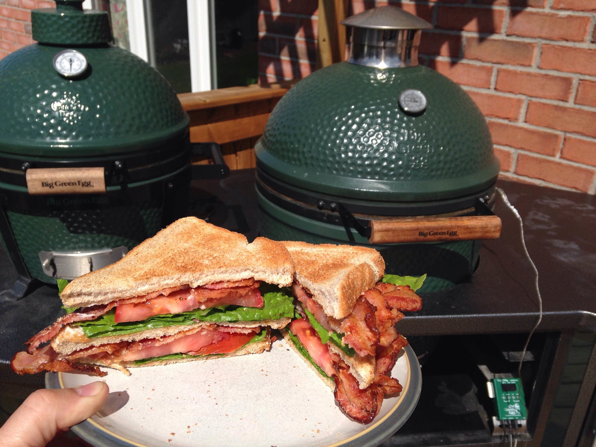 Image: https://us.v-cdn.net/5017260/uploads/editor/ta/sfswzc9t5sca.jpg