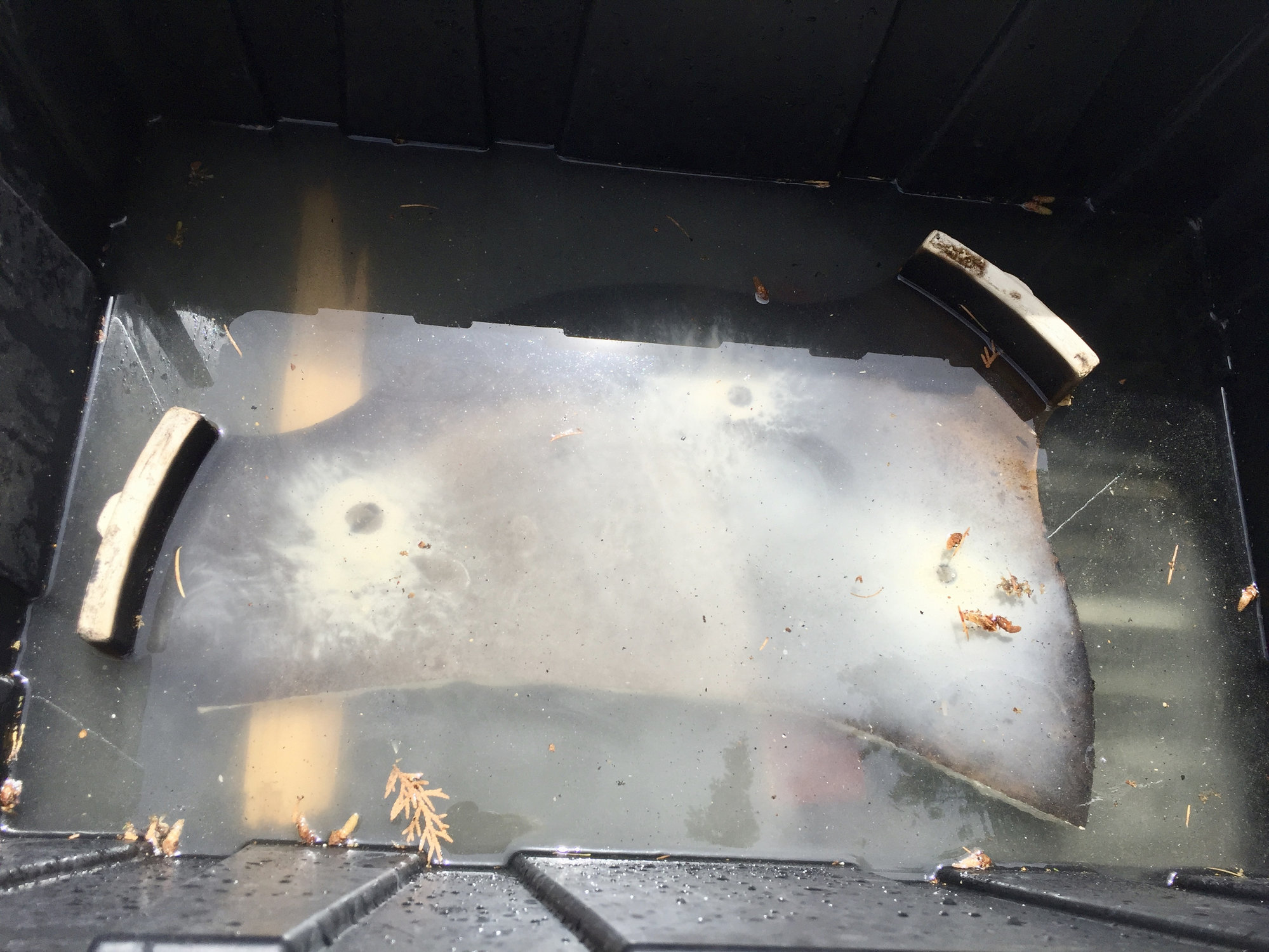 Image: https://us.v-cdn.net/5017260/uploads/editor/u6/2zgisdrsgsrr.jpeg