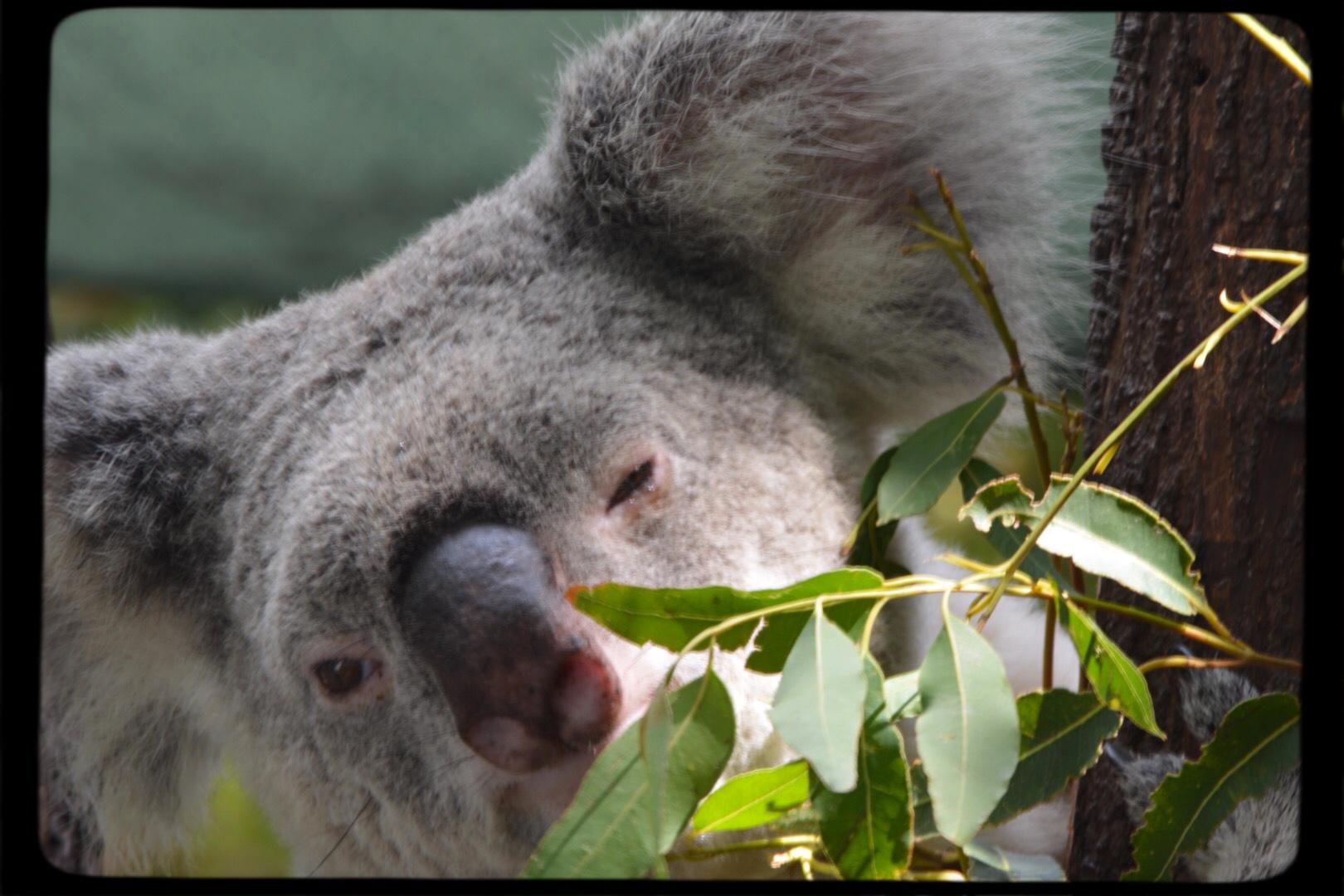 Image: https://us.v-cdn.net/5017260/uploads/editor/uh/ekljuprtbe4i.jpeg