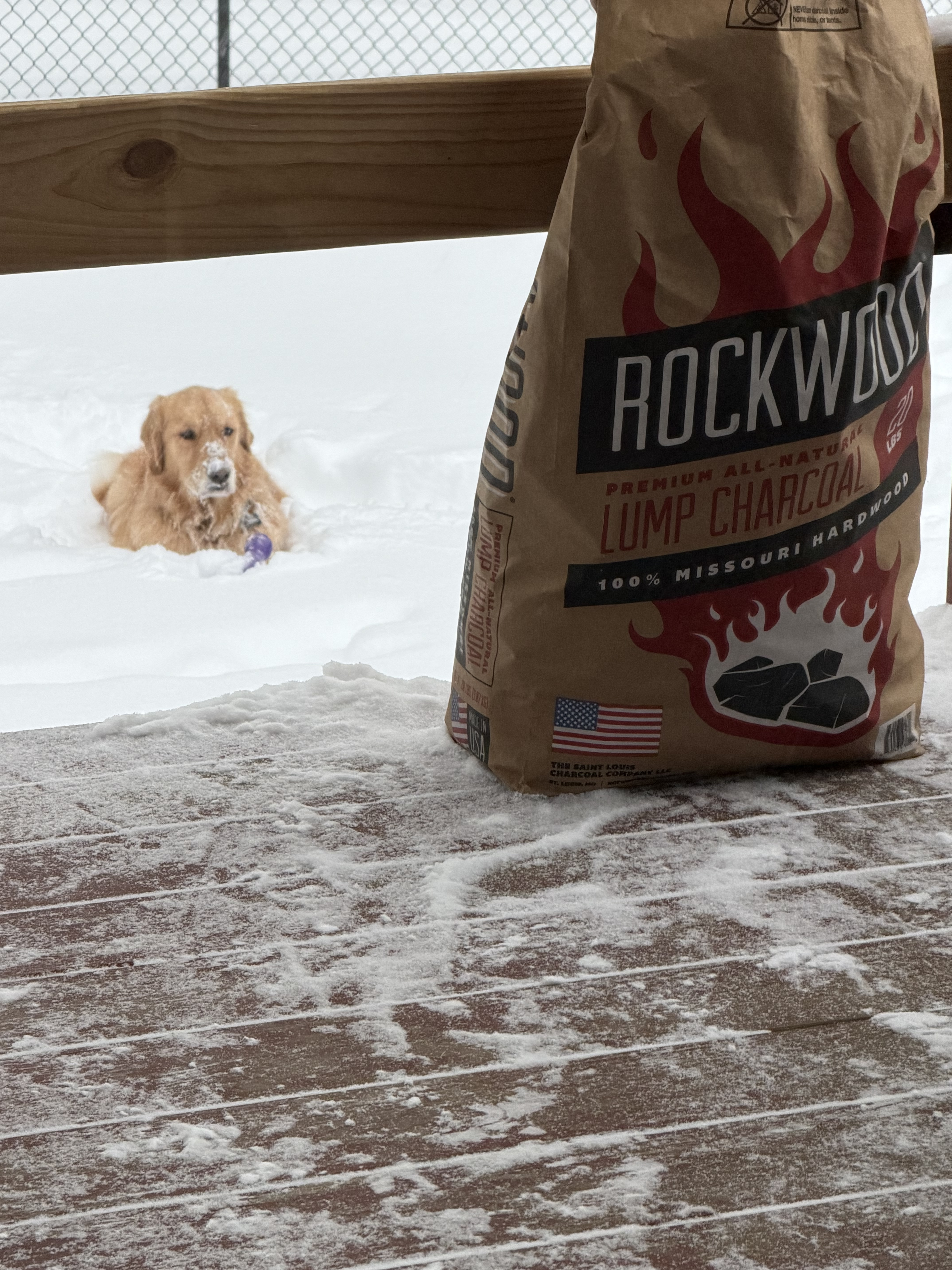 Image: https://us.v-cdn.net/5017260/uploads/editor/ul/ksiahbfntuso.jpeg