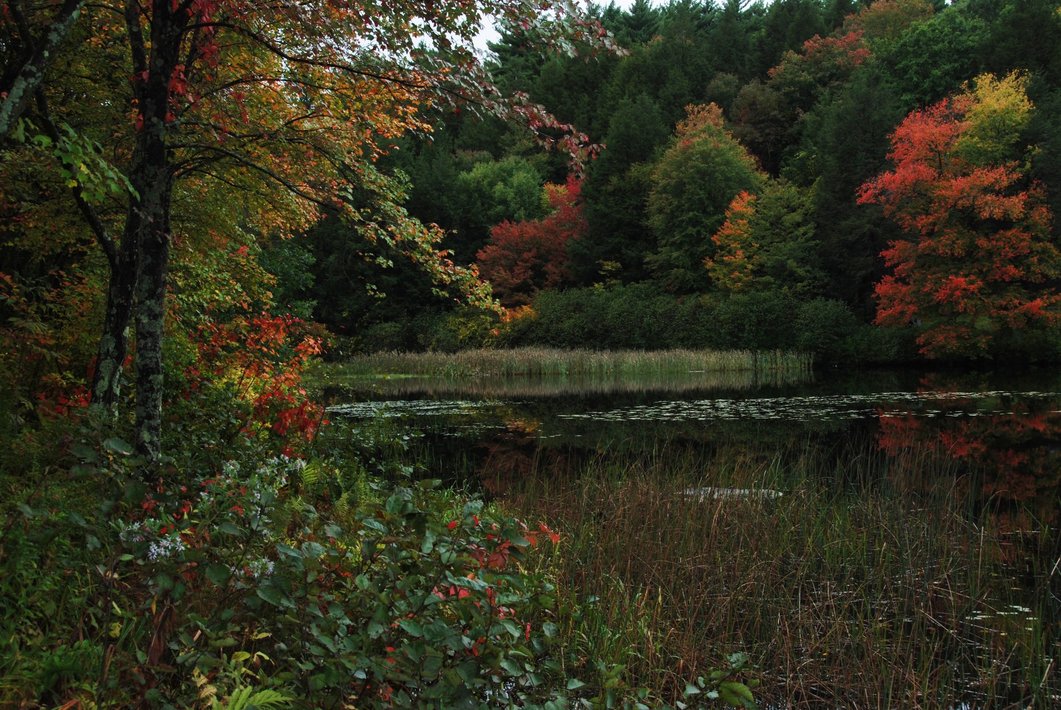 Image: https://us.v-cdn.net/5017260/uploads/editor/v4/r7xtaoqwm0ag.jpg