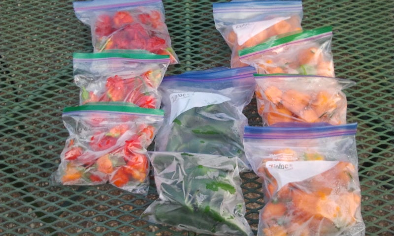 Image: https://us.v-cdn.net/5017260/uploads/editor/v5/5ziipl1xozlc.jpg