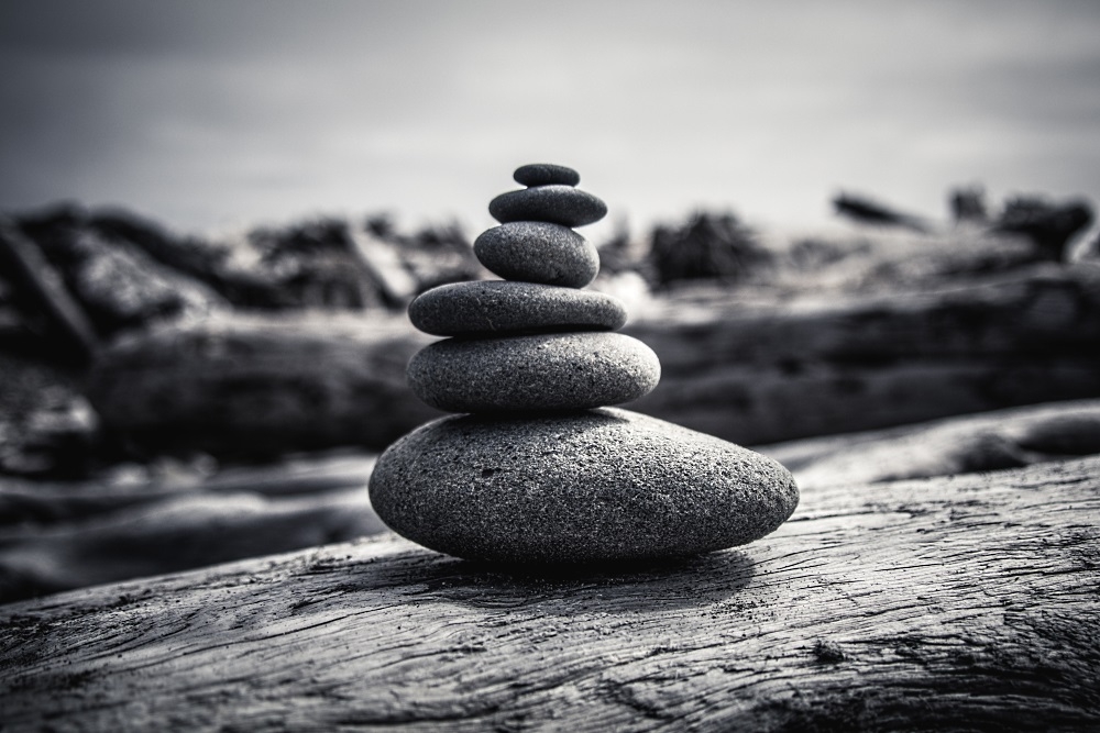 Image: https://us.v-cdn.net/5017260/uploads/editor/vf/rk56sgauasap.jpg