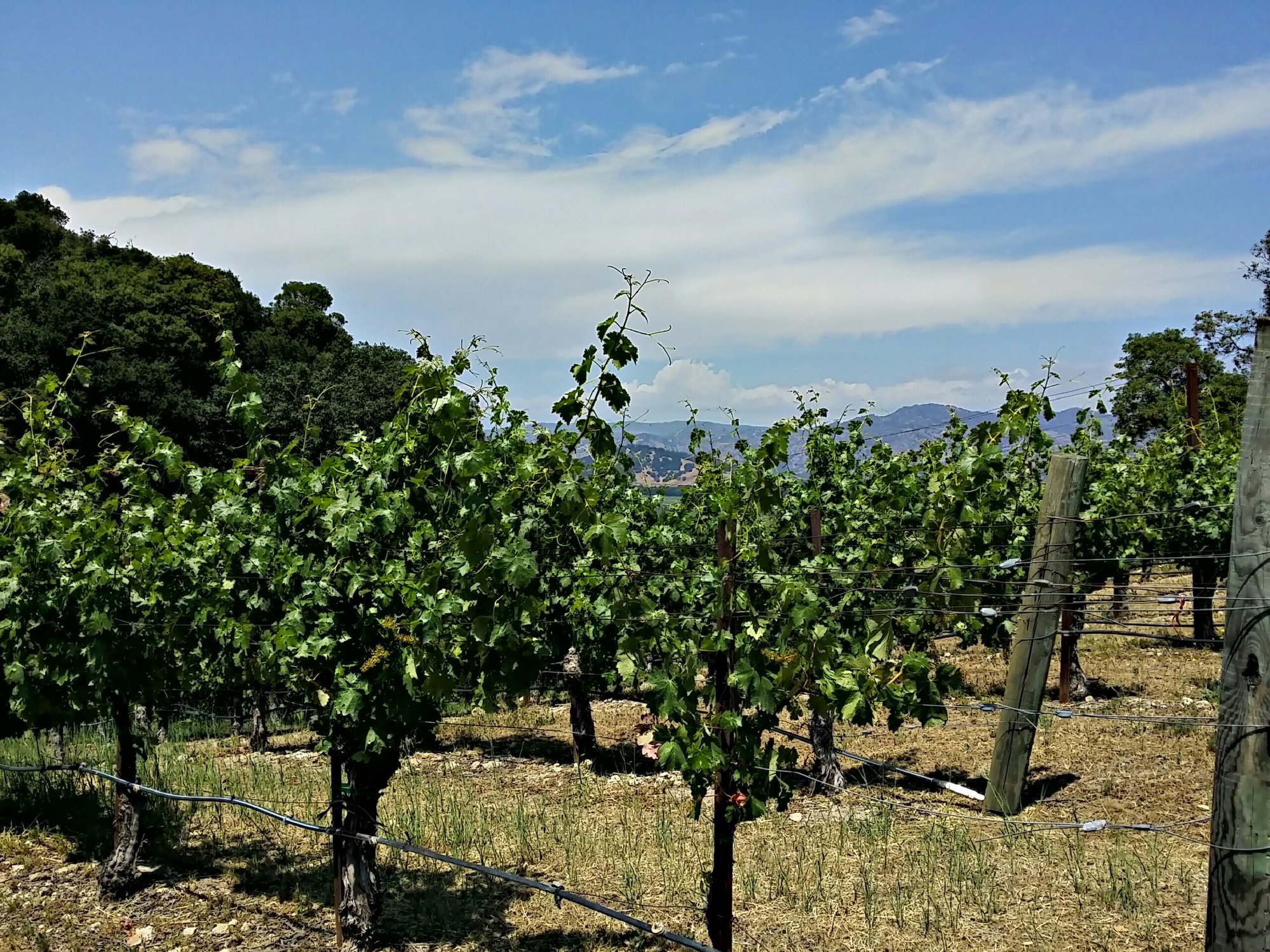 Image: https://us.v-cdn.net/5017260/uploads/editor/vs/g0cqoaq0s77l.jpeg