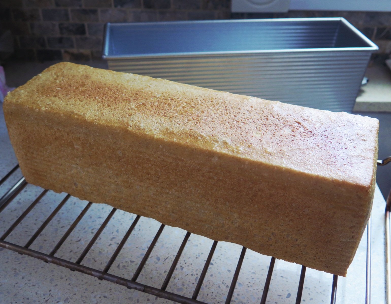 Image: https://us.v-cdn.net/5017260/uploads/editor/wq/8hvxh4jwk4o5.jpg